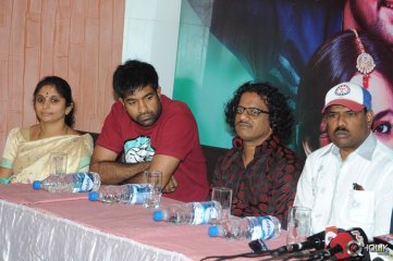 Lakshmi Raave Maa Intiki Movie Success Meet